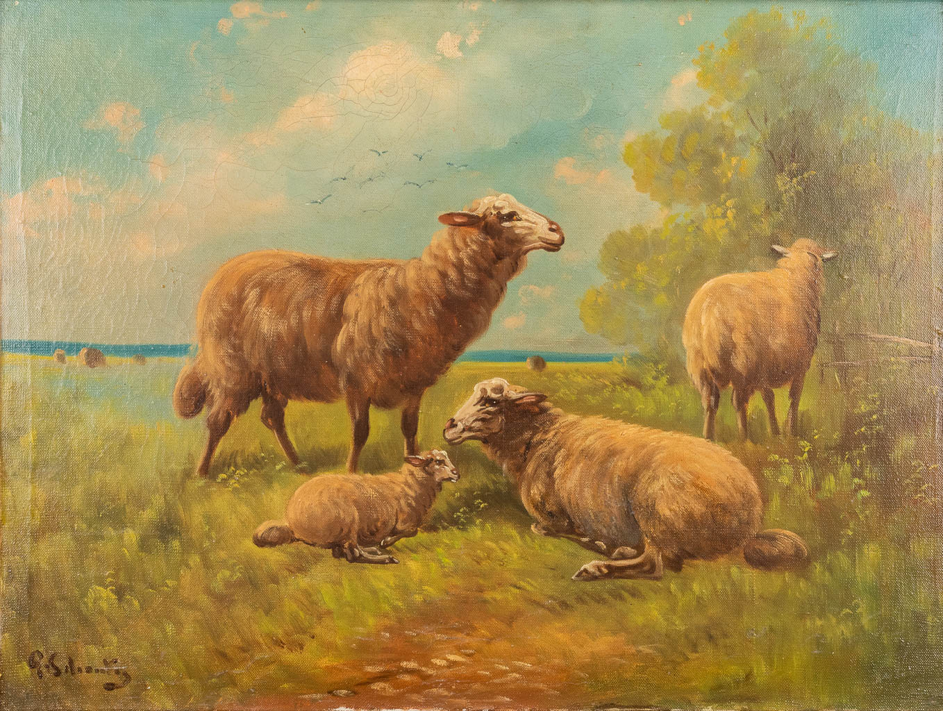 Paul SCHOUTEN (1860-1922) 'Sheep in a field' oil on canvas. (W:60 x H:45 cm)