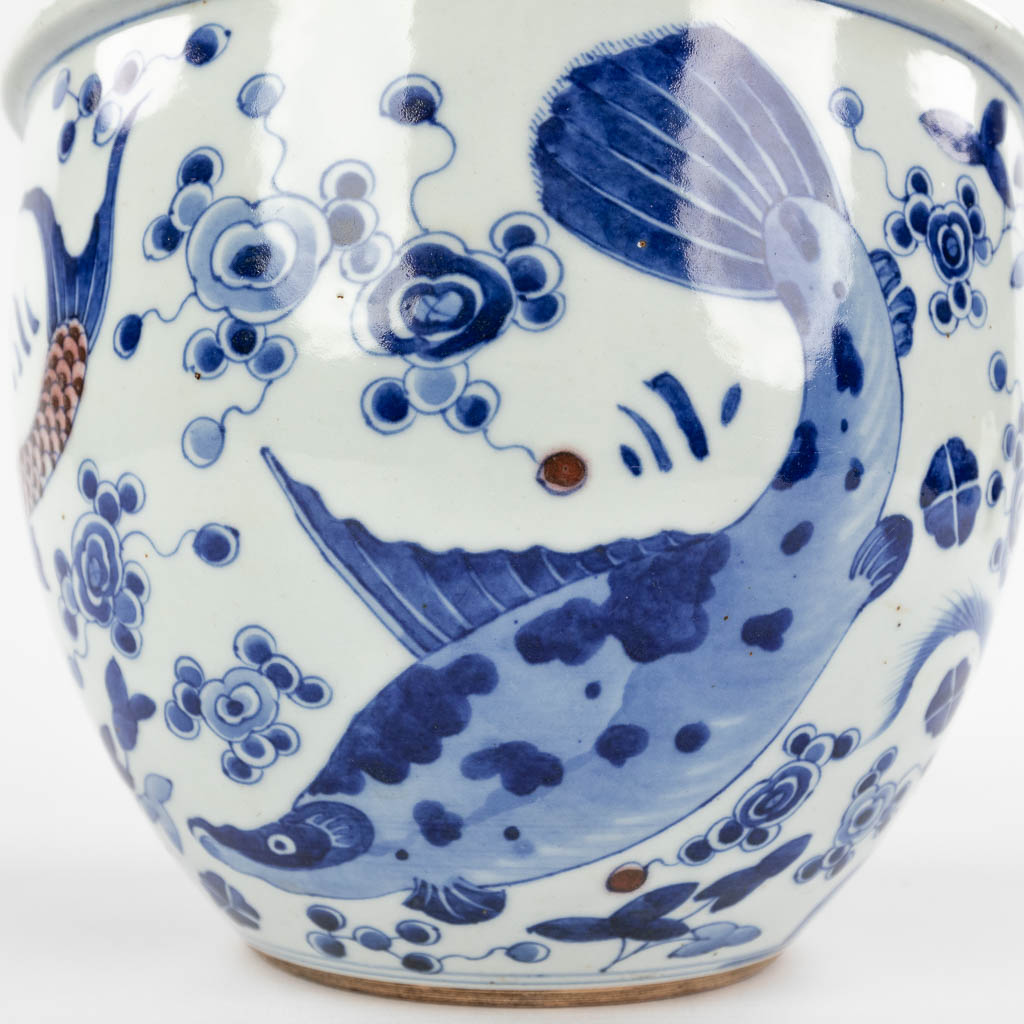 Een grote Chinese porseleinen viskom, blauw-wit decor, 18de/19de eeuw. (H:17 x D:22 cm)