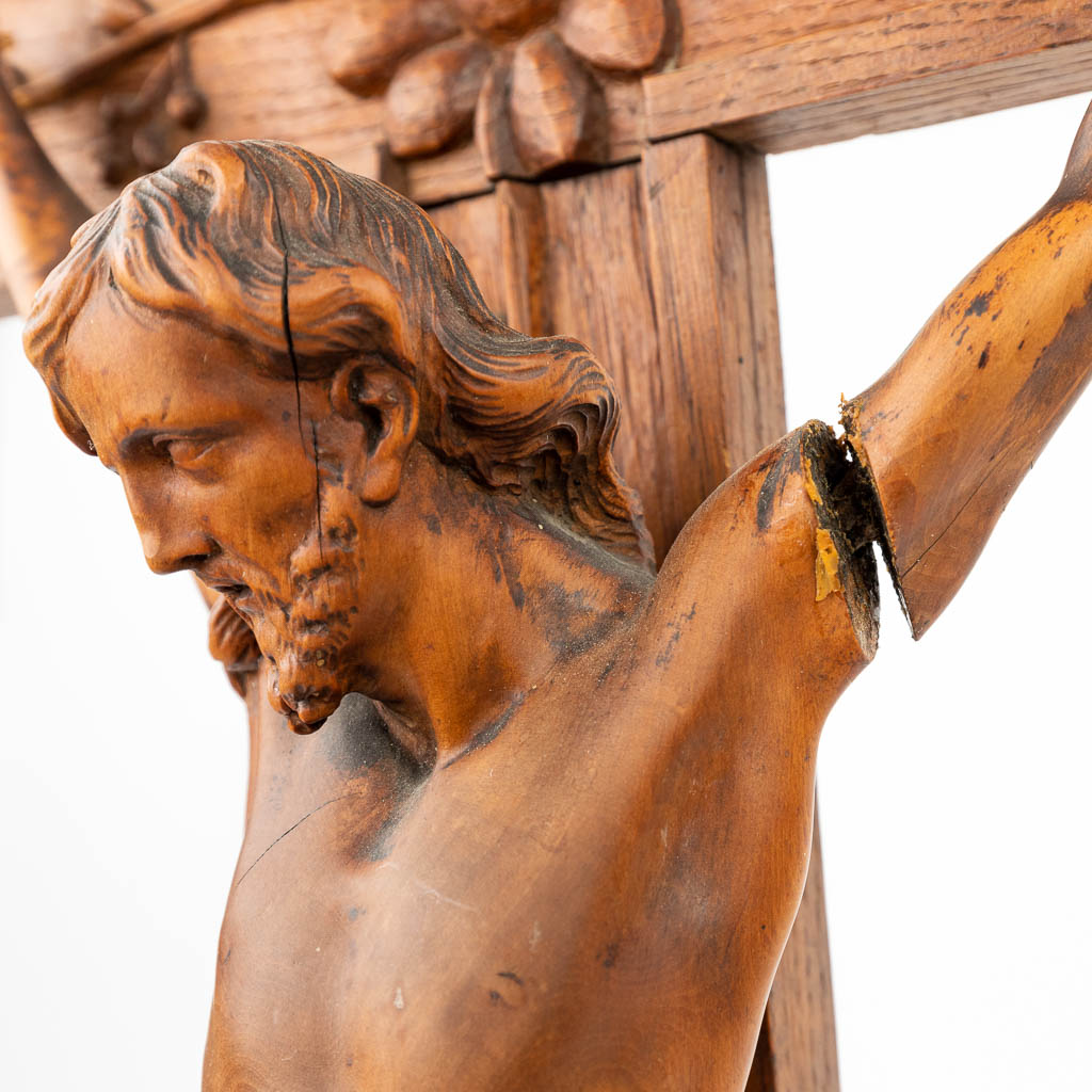 Een Corpus Christi gemaakt uit gesculpteerd palmenhout gemonteerd op een kruisbeeld gemaakt uit eik (H:82cm)