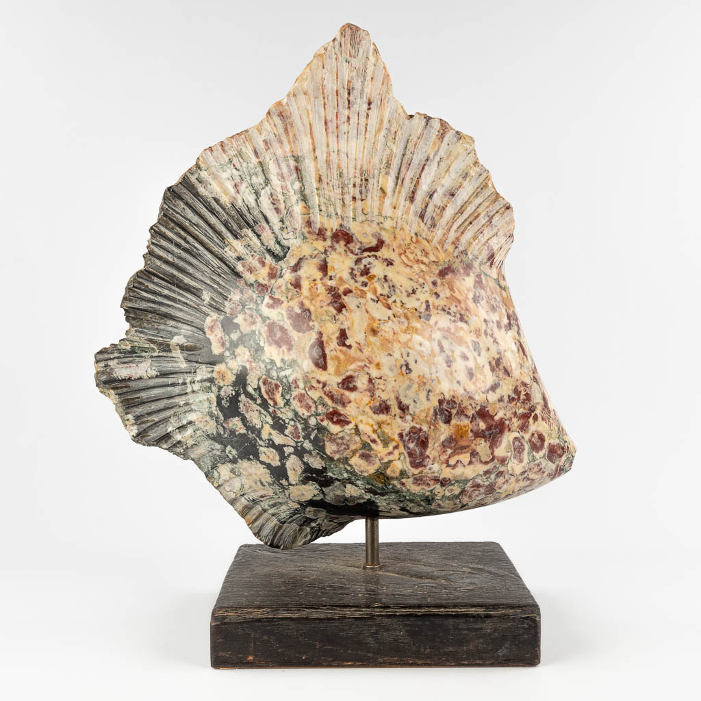 Lucien GHOMRI (1949) 'Large Fish' sculptured marble. (D:27 x W:50 x H:61 cm)