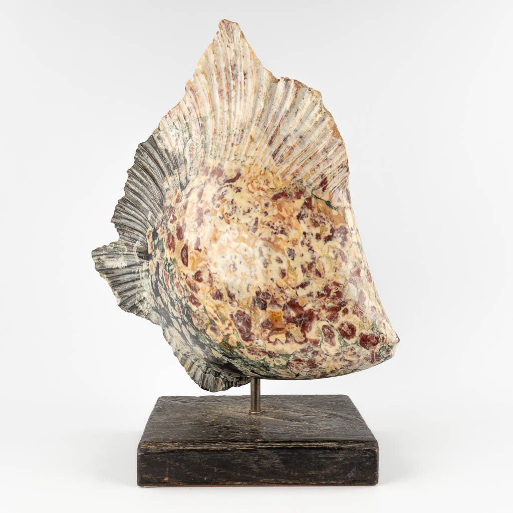 Lucien GHOMRI (1949) 'Large Fish' sculptured marble. (D:27 x W:50 x H:61 cm)