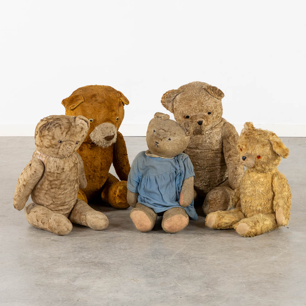 Five antique bears. Circa 1920-1950. (H:84 cm)
