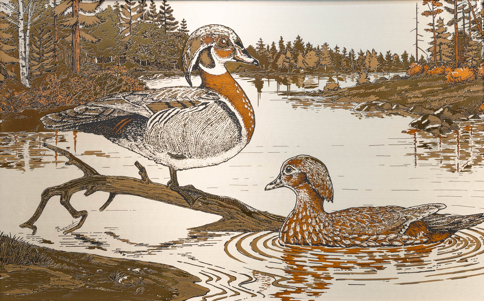 Al DORNISCH (1931) 'Lentegloed' a copper engraving, a view with ducks. 1982. (29 x 18 cm)