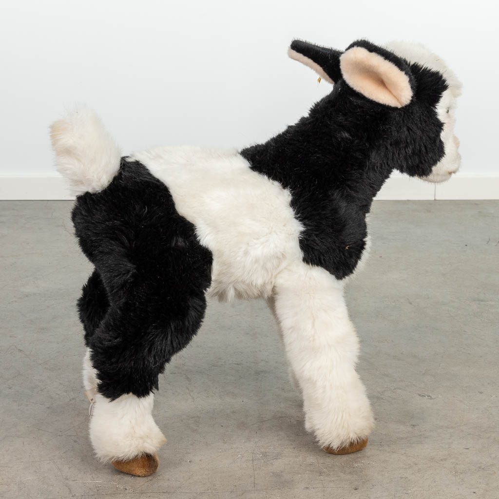 Steiff Studio Goat kid black/white, EAN 0446/60-502460, around 1991-1993 (53 x 55cm). (W: 53 x H: 55 cm)