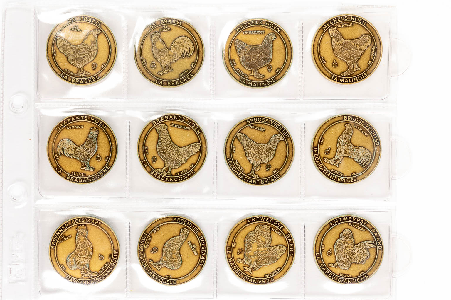 Een grote collectie van 8 mappen met verschillende munten. 