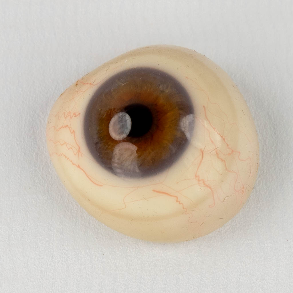Klein-Glitschka Gent, een grote collectie prothetische glazen ogen. 126 stuks. Circa 1900. (L:21 x W:30 x H:5 cm)