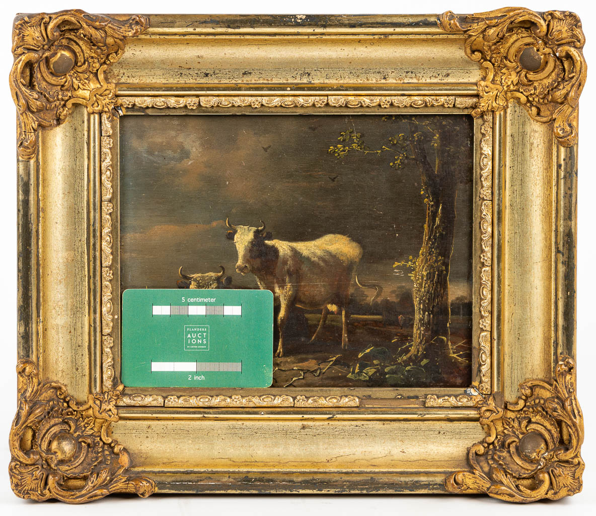 Jan II Baptist KOBELL (1778-1814) een schilderij van 2 koeien, olie op paneel. (20,5 x 16,5 cm)
