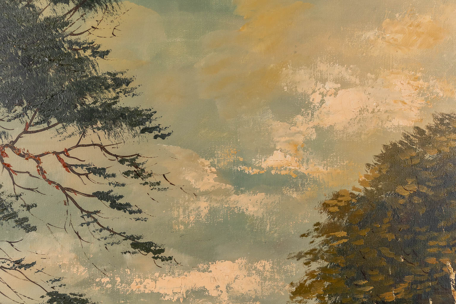 Zicht op de heide met berkenbomen, olie op doek. Getekend B. Van Rijn. 20ste eeuw. (W:110 x H:70 cm)