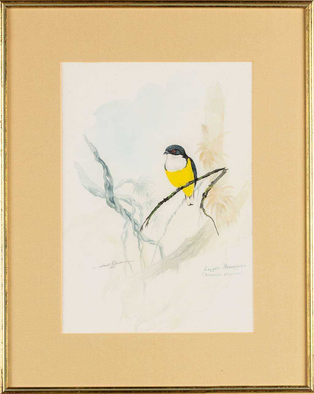 Gamini P. RATNAVIRA (1949) 'Vogels' waterverf op papier. (W:26 x H:36 cm)