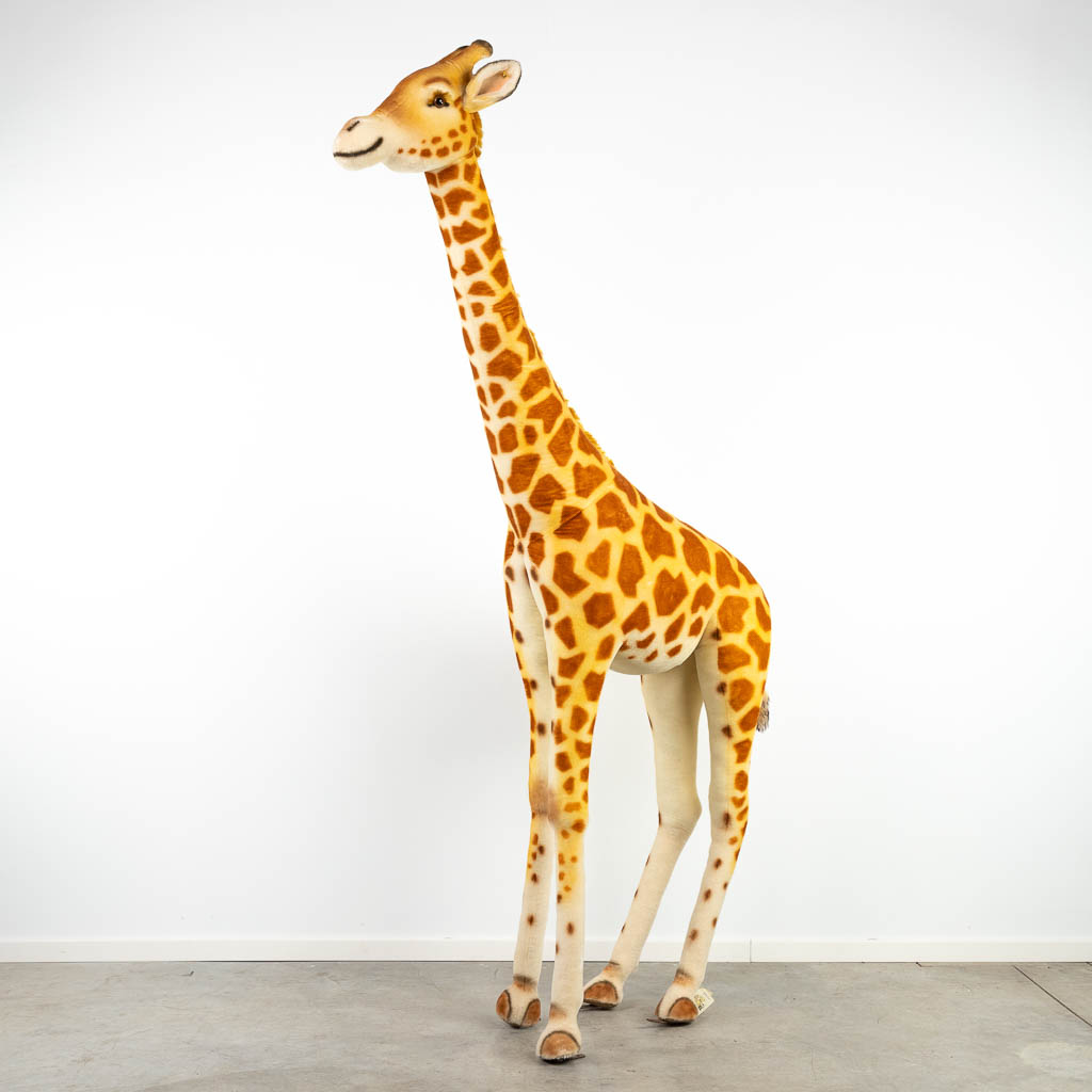 Steiff Studio Giraf, EAN 502309, periode 1968-1990 (240cm)