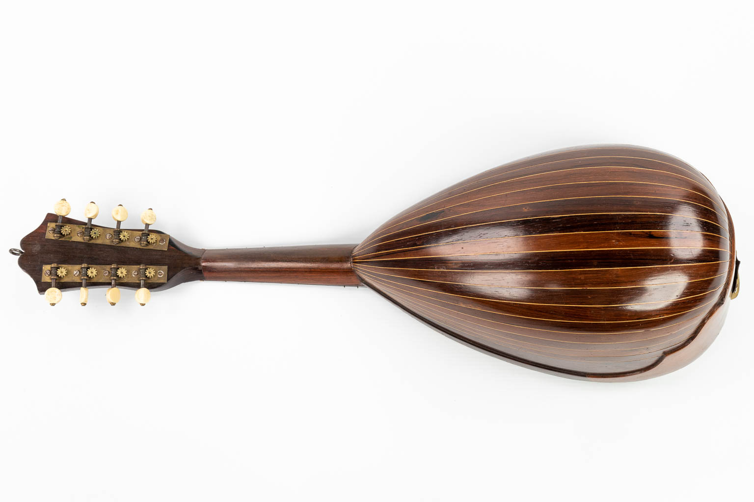 Een collectie van 3 instrumenten: 2 mandolines en een viool, naar een model van Stradivarius 