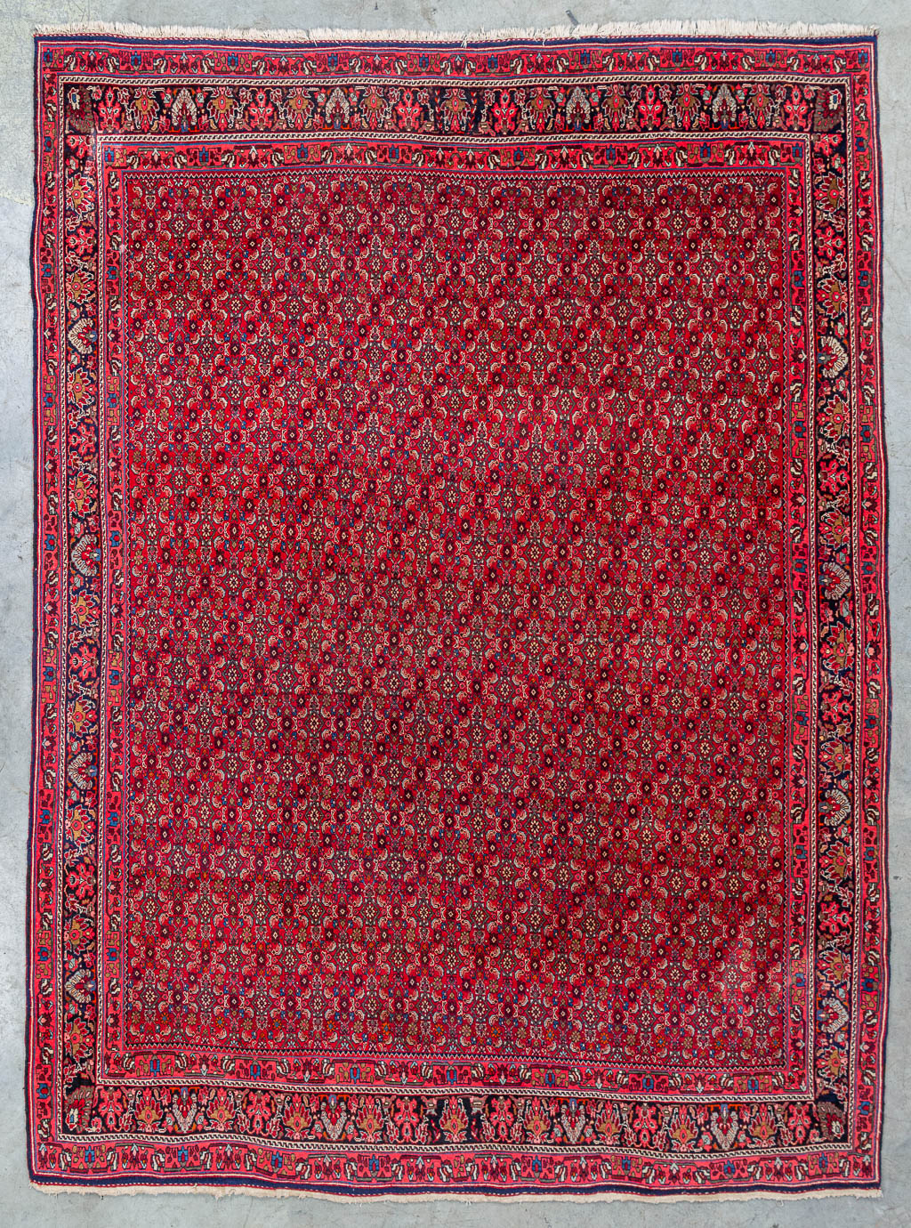 An Oriental hand-made carpet, Bidjar. (324 x 237 cm)