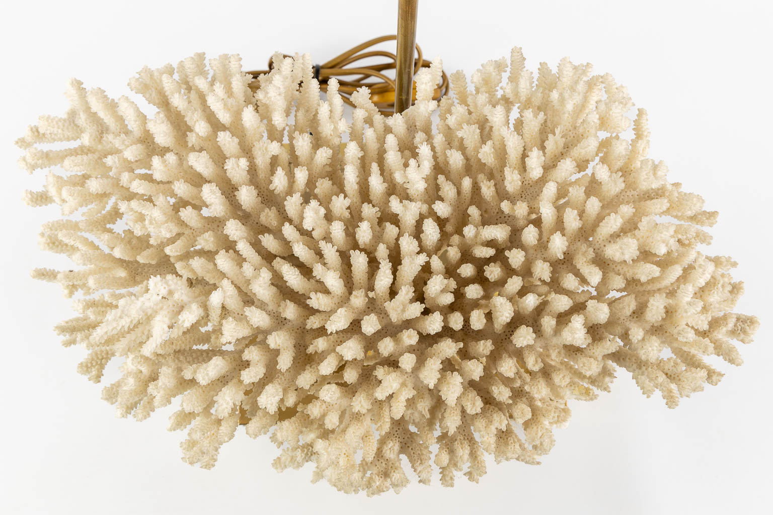 Een decoratieve tafellamp gemonteerd met een witte koraal. Circa 1980. (L:25 x W:39 x H:49 cm)